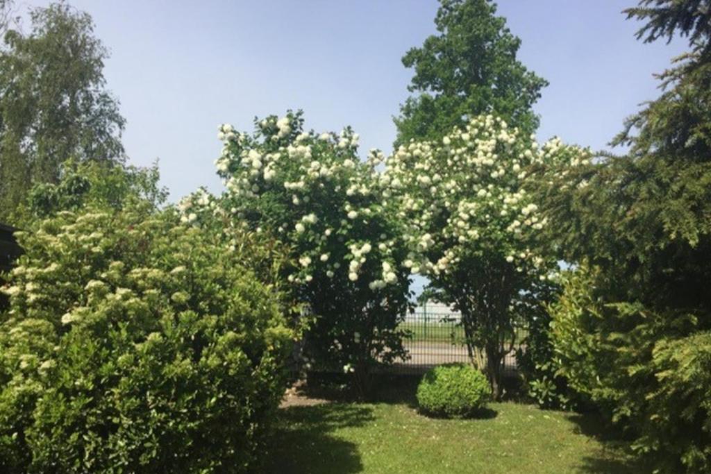Apartament Bootshaus/ Holzdeck Rostock Zewnętrze zdjęcie